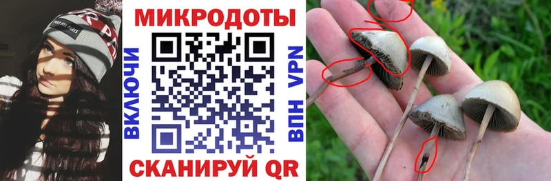 блэк спрут вход  купить наркотик  Дальнереченск  Псилоцибиновые грибы ЛСД 